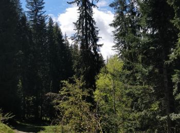 Randonnée Marche Arâches-la-Frasse - les Carroz, tête de Saix boucle - Photo