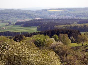 Tocht Te voet Weiskirchen - 2-Täler-Weg - Photo