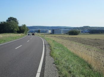 Excursión A pie Mandelbachtal - Heckendalheimer Höhen- und Klammenweg - Photo