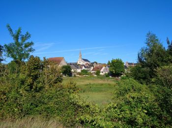 Excursión Senderismo Sainte-Maure-de-Touraine - Sainte-Maure-de-Touraine - GR655 Sainte-Catherine-de-Fierbois - 23.7km 225m 5h10 (25mn) - 2022 09 11 - Photo