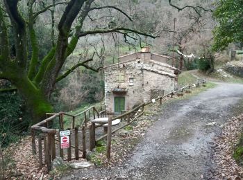 Percorso A piedi Sesto Fiorentino - Sentiero CAI 1 - Sez. Sesto F.no - Photo