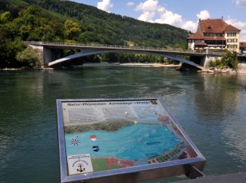 Tour Zu Fuß Aarburg - Sälischlössli - Aarburg - Photo