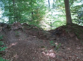 Tour Zu Fuß Wörth an der Sauer - Rectangle rouge barré de blanc - Photo