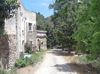 Trail Walking Portbou - Tras el ferocaril 2 Port bou - Photo