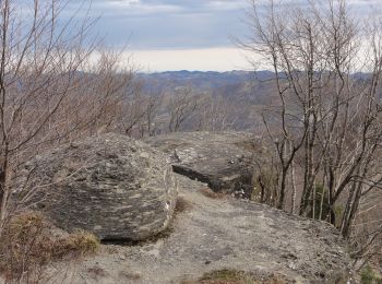 Trail On foot Borgo Tossignano - IT-701 - Photo