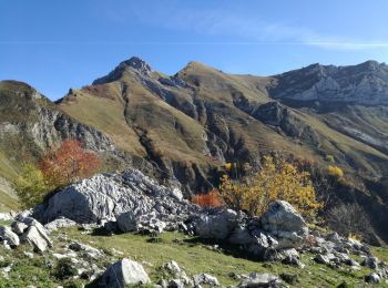 Randonnée Marche Jarsy - PLAN DE LA LIMACE - Photo