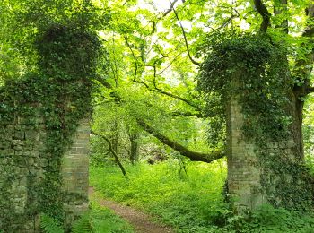 Trail Walking Poigny-la-Forêt - rochers d'angennes mai 2019 - Photo