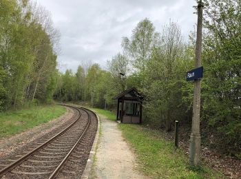 Tour Zu Fuß Bad Brambach - Wanderweg gelber Strich - Photo