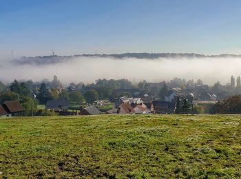 Tocht Stappen Montigny-le-Tilleul - Promenade de la carrière à Landelies - Photo