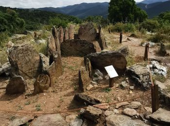 Trail Walking La Londe-les-Maures - De Lalonde-Valcros au dolmen de Gautabry - Photo