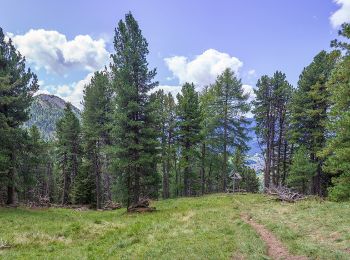 Trail On foot Santa Cristina Gherdëina - St. Christina in Gröden - Santa Cristina Valgardena - IT-20 - Photo