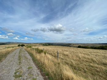 Trail Walking Recoules-d'Aubrac - Recoules Bouchabes  - Photo