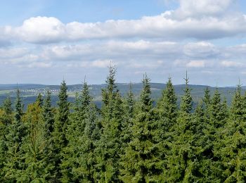 Percorso A piedi Winterberg - Züschen Rundweg Z2 Ahrentalweg - Photo