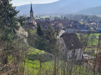 Tour Wandern Günsbach - Sentier Albert Schweitzer - Photo