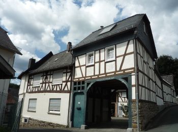 Tour Zu Fuß Waldsolms - Wanderwege Brandoberndorf - Schmetterling - Photo