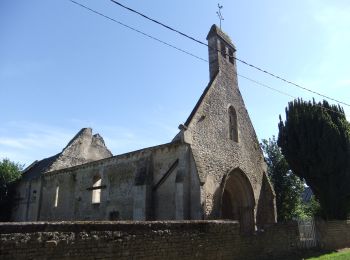 Randonnée A pied Villers-Canivet - Circuit des Pépinières - Photo