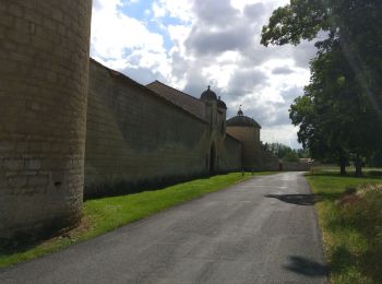 Tour Mountainbike Chauray - 2019-06-06 VTT vers Echiré - Photo