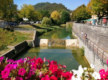 Excursión A pie Palazzuolo sul Senio - Sorgenti di Firenze Trekking - Anello 16: Nella Romagna Toscana - Photo