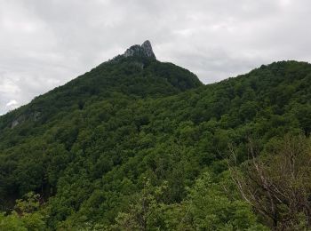 Excursión Senderismo Saint-Paul - dent du chat depart antenne - Photo