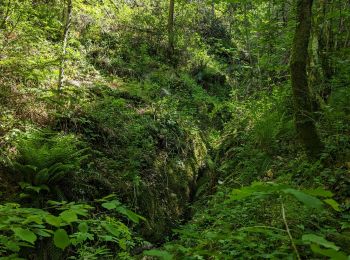 Randonnée Marche Soudorgues - La Vallée Borgne - Photo