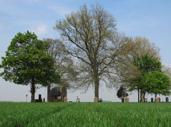 Percorso A piedi Zoutleeuw - Kempinnewandeling - Photo