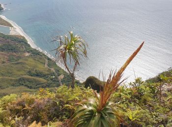Randonnée Marche Hienghène - Les Roches de la Ouaïème - Hienghène (NC) - Photo