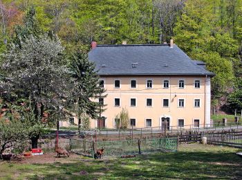 Excursión A pie Dohma - Grüner Strich - Photo