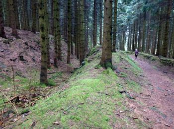 Tocht Te voet Bestwig - Evenkopf Rundweg A7 - Photo