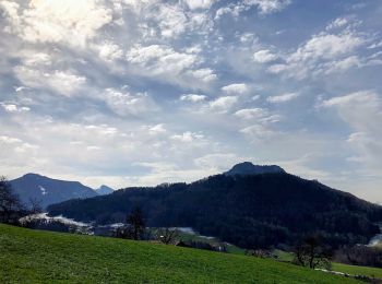 Percorso A piedi Samerberg - Wanderweg 54 - Samerberg - Photo