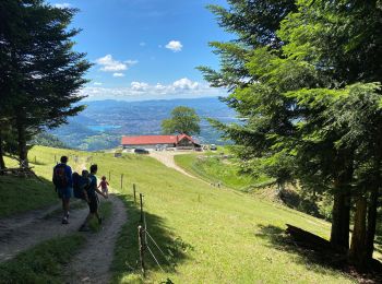 Tour Wandern Dingy-Saint-Clair - Caler Chappuis - Photo