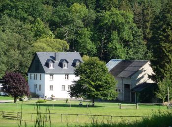 Randonnée A pied Gehlweiler - Traumschleife Heimat - Photo