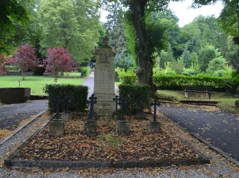 Trail On foot Veitsrodt - Saar-Hunsrück-Steig Zuwegung Historische Weiherschleife - Photo