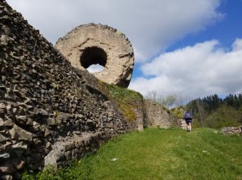 Percorso Marcia Thann - Thann Molkenrain Freundstein - Photo