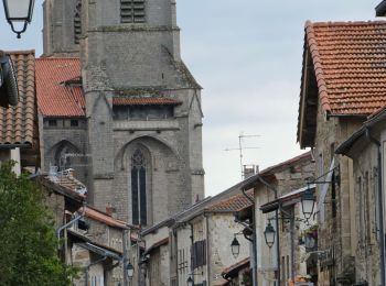 Randonnée Marche La Chaise-Dieu - La Chaise-Dieu Ouest, les meilleurs points de vue sur l'abbatiale  - Photo