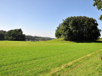 Randonnée A pied Fehraltorf - Fehraltorf - Pfäffikon - Photo