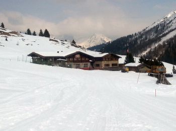 Tour Zu Fuß Surses - Somtgant - Radons - Photo