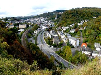 Trail On foot Idar-Oberstein - Saar-Hunsrück-Traumschleife: Nahe-Felsen-Weg - Photo