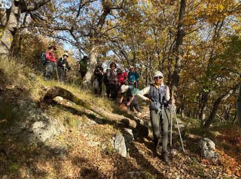 Tocht sport Aiglun - St Martin vrai - Photo