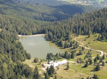 Percorso Marcia Lapoutroie - 2 ème journée rando 4 lacs  - Photo