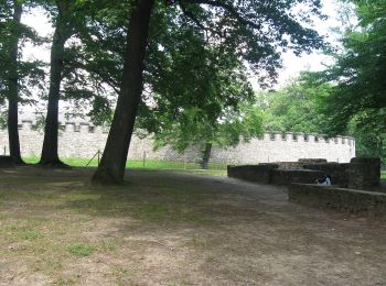 Percorso A piedi Friedrichsdorf - Friedrichsdorf-Saalburg - Photo