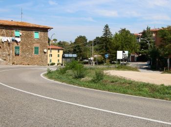 Trail On foot Scansano - Trekking di Montorgiali Polveraia - Photo