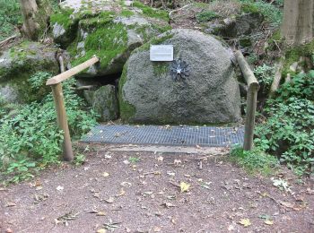 Randonnée A pied Lautertal - Rundwanderweg Lautertal Rauhestein 3: Kaiserturm-Weg - Photo