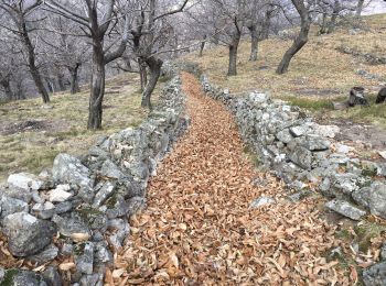 Excursión Senderismo Burzet - Burzet -Les Sausses-Aubert-Burzet-La Valette - Photo