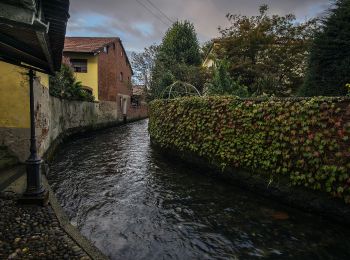 Percorso A piedi Villareggia - Mazze', ponte sulla Dora Baltea, bivio110-Candia Canavese - Photo