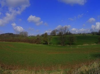 Randonnée V.T.T. Mettet - VTT de l'abbaye de Brogne au 7meuse - Photo