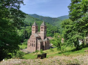 Randonnée Marche Buhl - Murbach - Photo