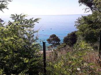 Excursión Cicloturismo Cavalaire-sur-Mer - 83 Var Cavalaire a Val cote Brignoles J5/6 - Photo