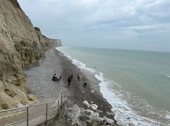 Tocht Stappen Skoale - Cap Blanc Nez-Wissant-mont de Couple 25 km - Photo