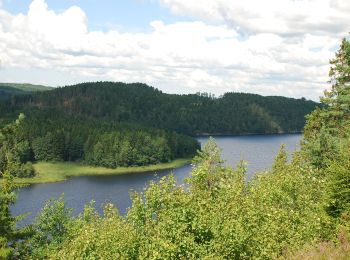 Tour Zu Fuß  - Vitingeleden - Photo