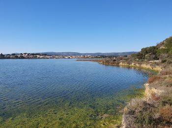 Trail Walking Peyriac-de-Mer - Salin de Peyrac - Photo